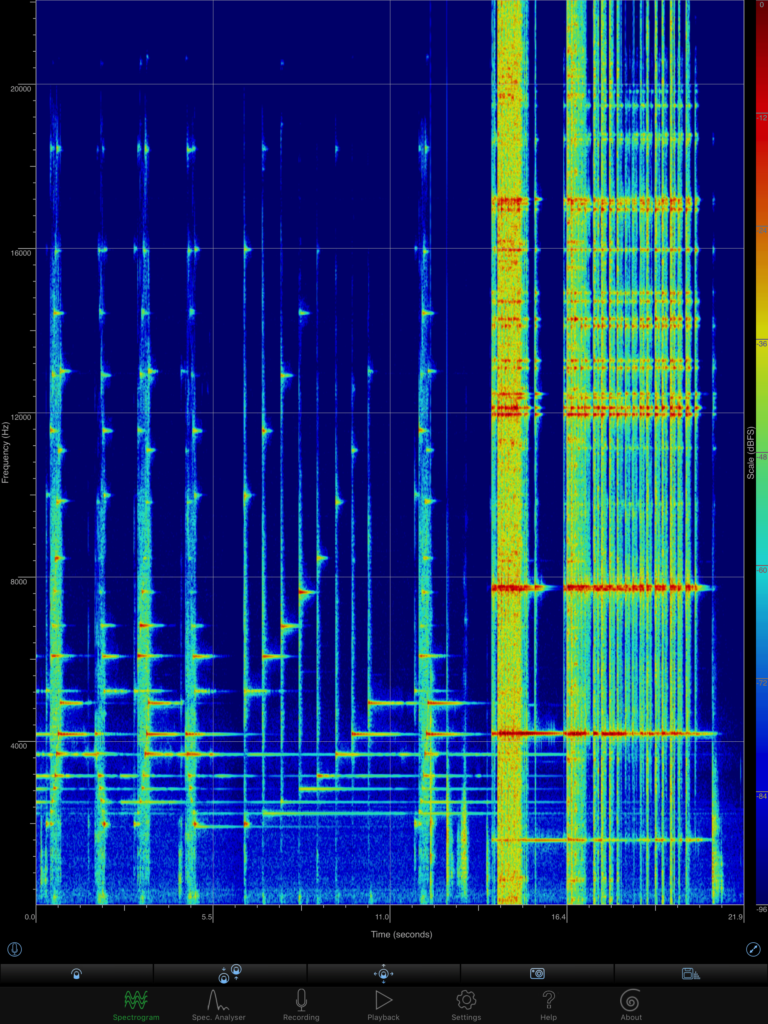 Spectrogram12.9