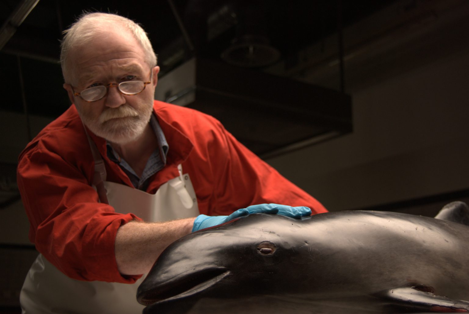 Our Spectrumview app features in BBC 4 documentary – Ocean Autopsy: The